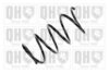 QUINTON HAZELL QCS6681 Coil Spring